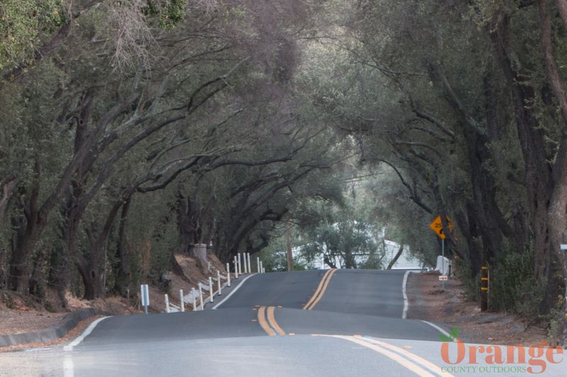 Modjeska Canyon