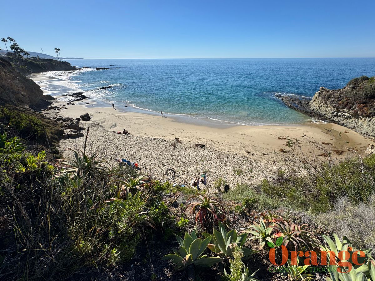 Divers Cove Divers Cove