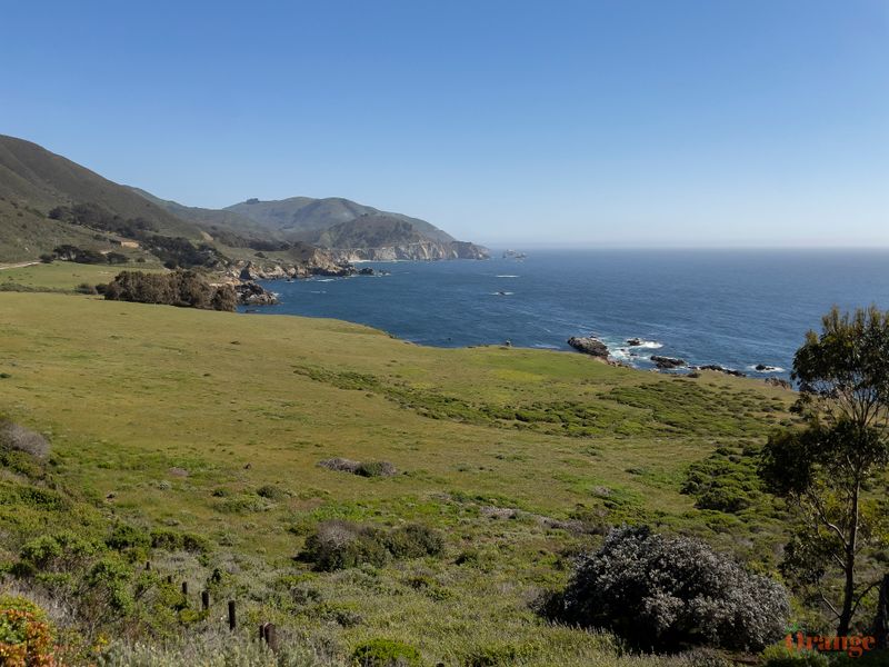 Rocky Point Up The Coast