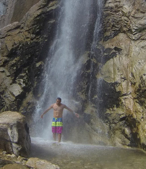 Forest Falls Forest Falls