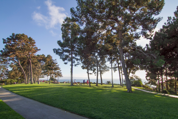 Pines Park has a beautifully manicured grass area perfect for a picnic with and ocean view Pines Park
