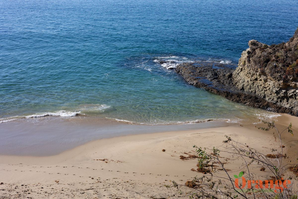 Divers Cove Divers Cove