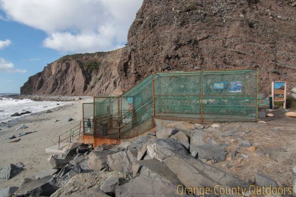 Ocean Institute Beach
