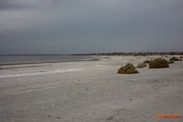 Salton Sea State Park