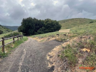 Aliso And Wood Canyons Regional Park