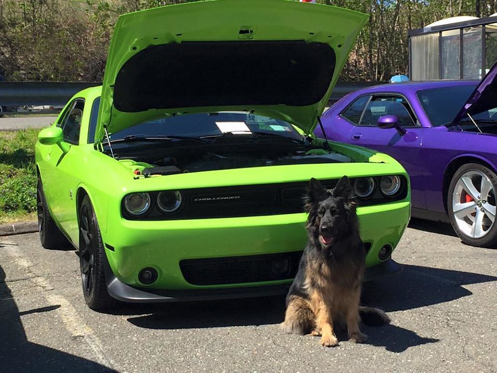 Never In My Wildest Dreams