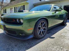 godzilla scat pack _12.jpg