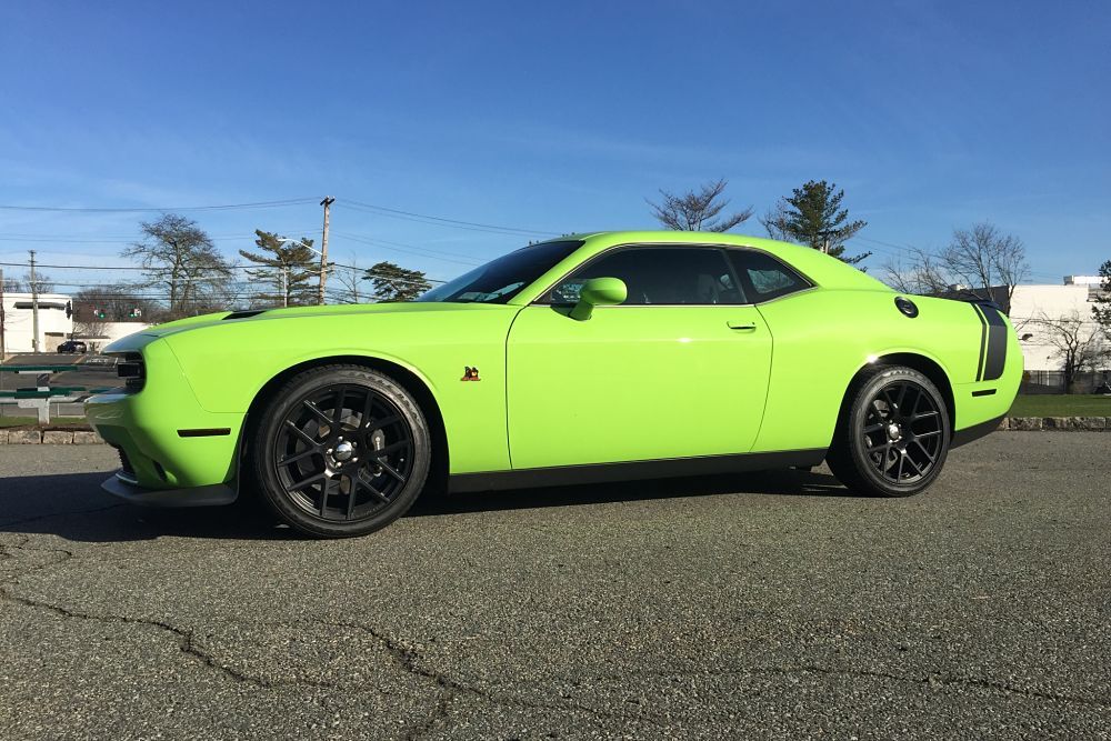 Never In My Wildest Dreams