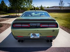 godzilla scat pack _18.jpg