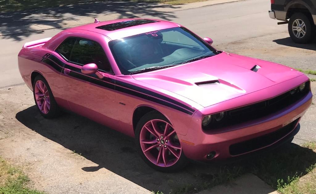 I was a Teenager when I first saw a Challenger and it was love at first sight. From that day on I had always wanted a Hot Pink Challenger. BitchinPinkChallenger11.jpeg