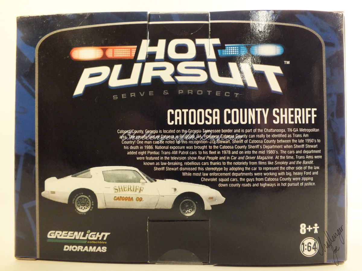 1971 RT 426 Hemi Greenlight Hot Pursuit Series Challenger (10).JPG