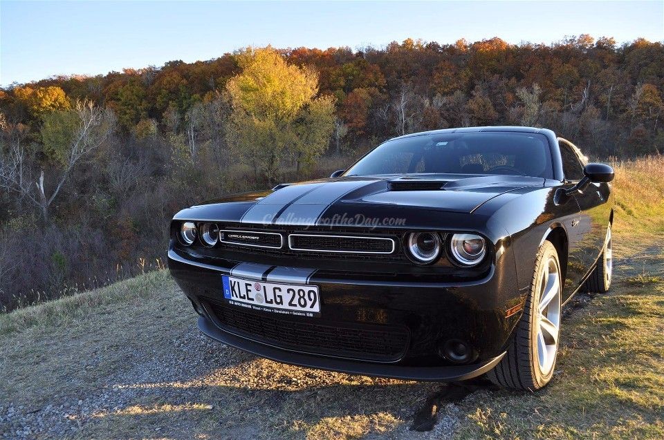 Fin And The American Dream - Challenger of the Day