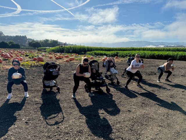 Pumpkin Patch 3.jpeg