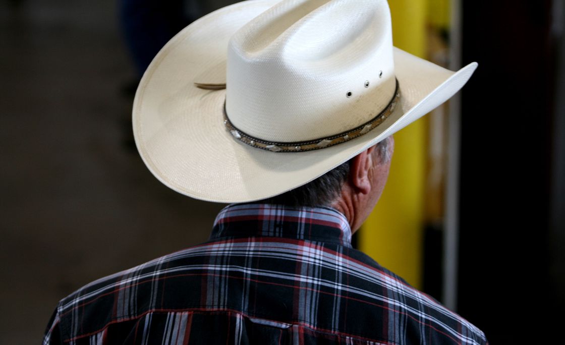 hat.cowboy.jpg