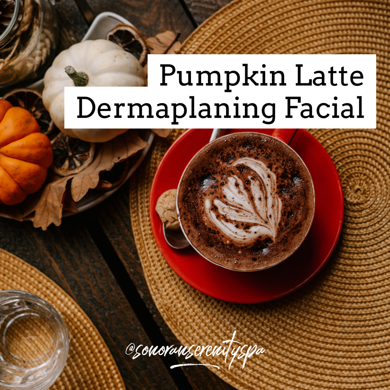 pumpkinlattedermaplaning.PNG