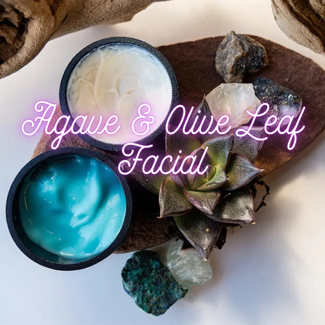 Agave and Olive Leaf.png