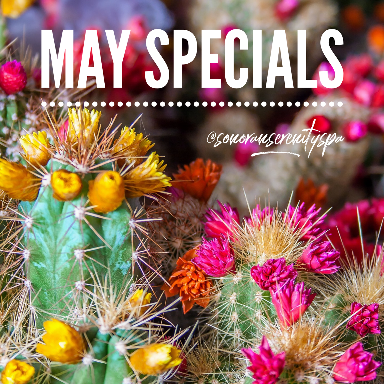 mayspecials.PNG
