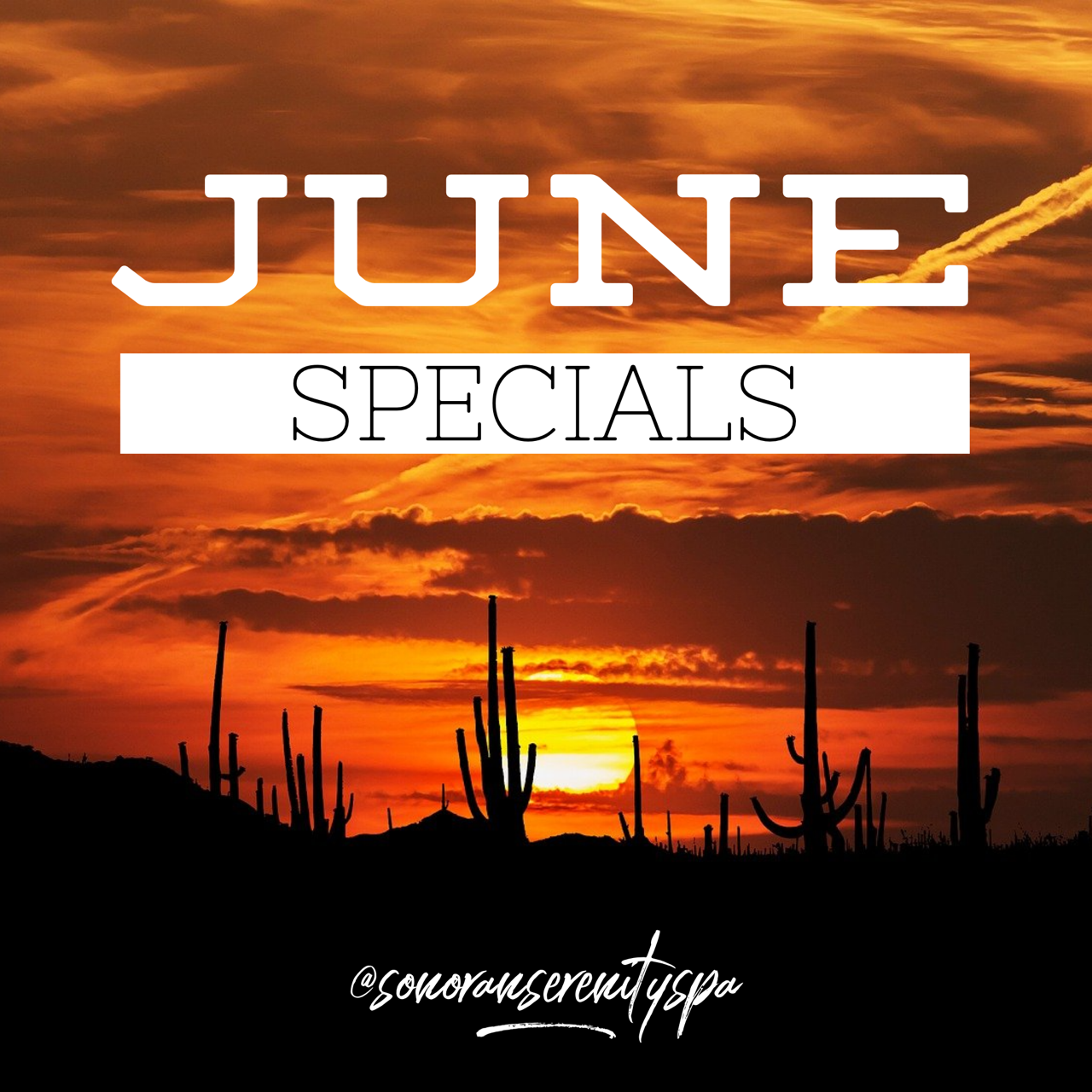 junespecials.PNG