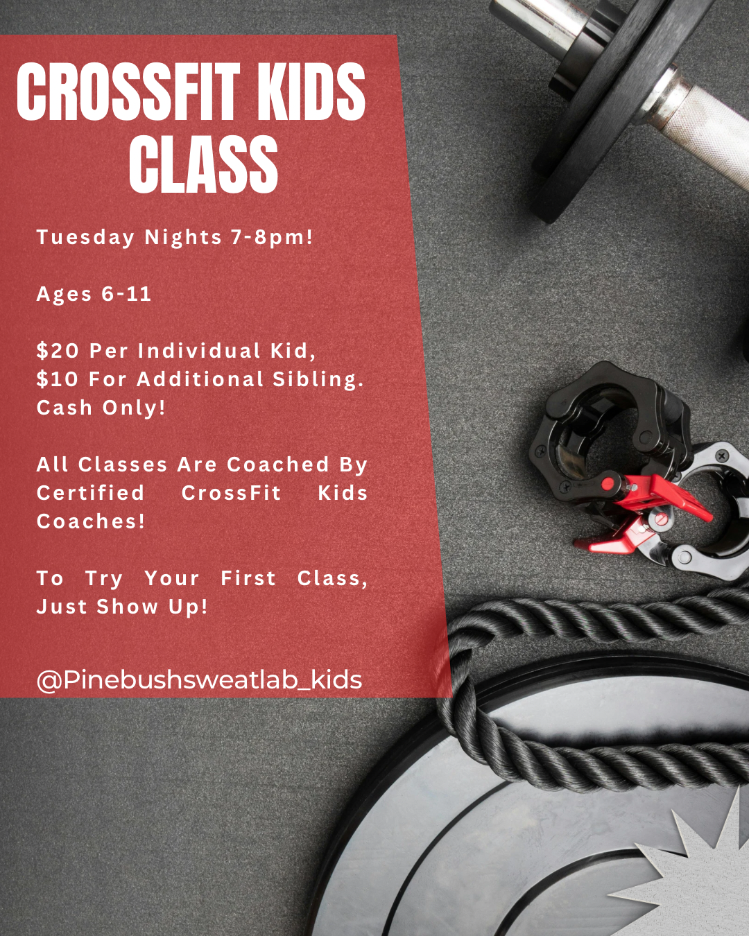 Red and Grey Modern Gym Fitness Instagram Post.png