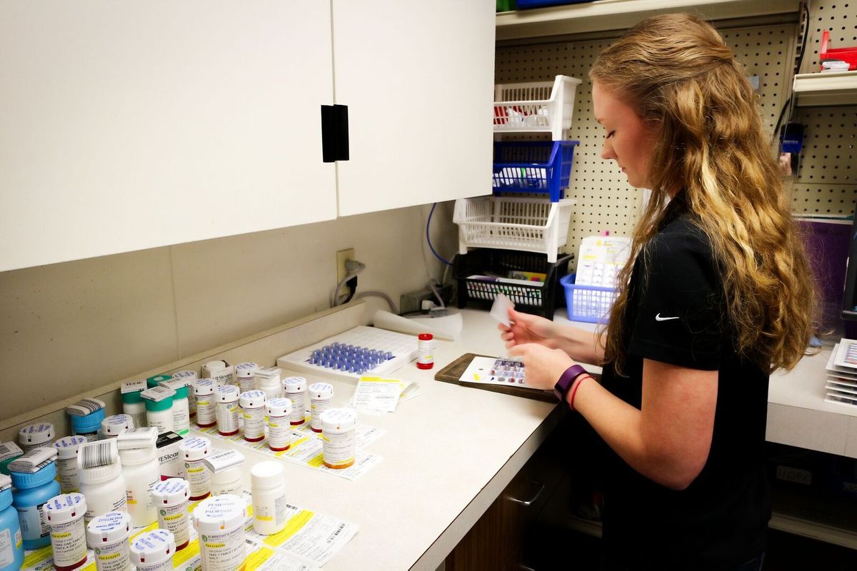 jessica picture.jpeg