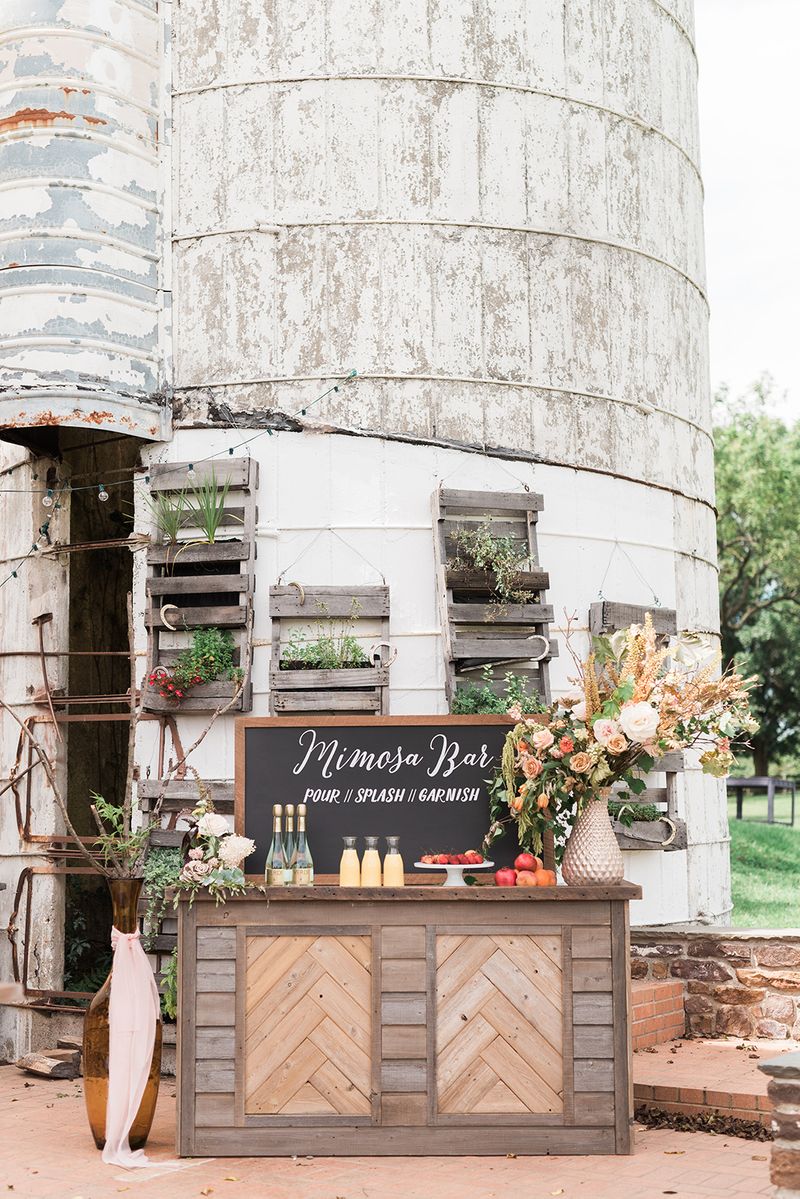 Mimosa Bar Sign | String Lights Rustic