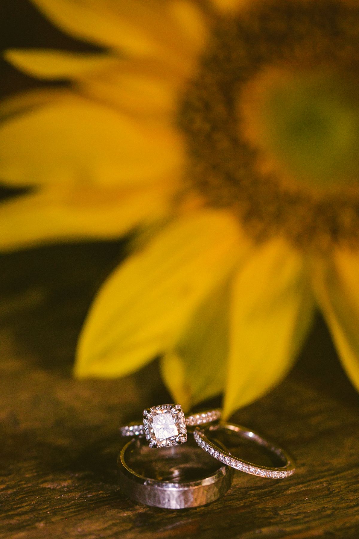 Shannon & Scott Wedding-1039.jpg