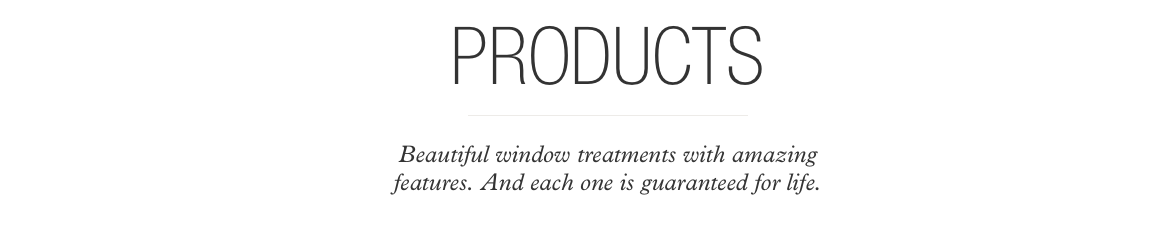 Screen Shot -Products-AM copy.png