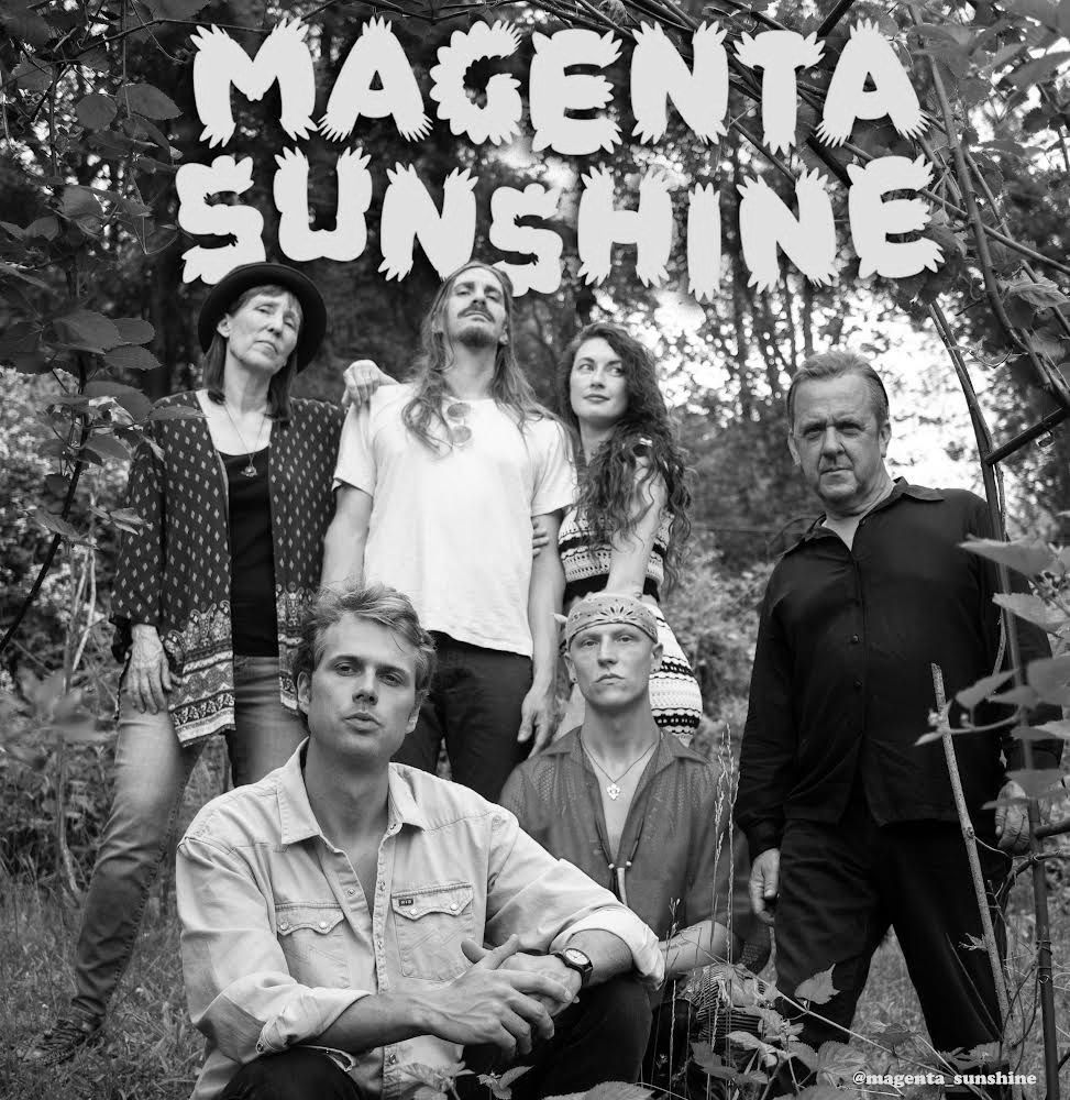 magenta sunshine.jpg