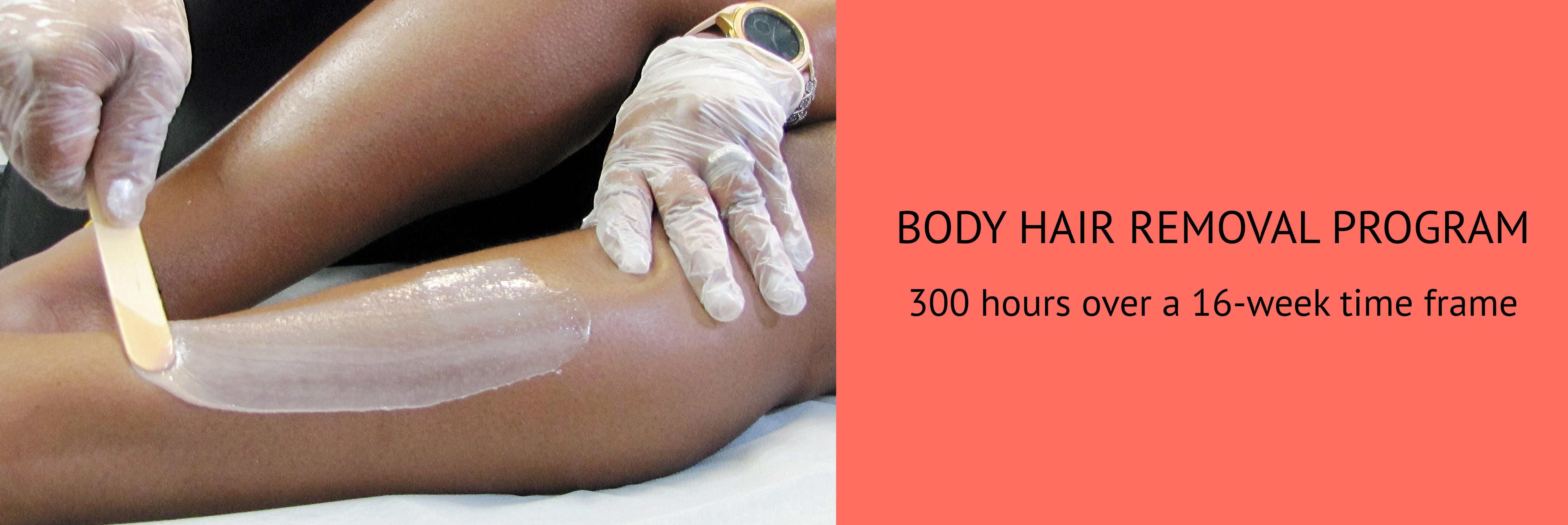 Website banner BHR.png