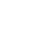 wheelchair icon.png