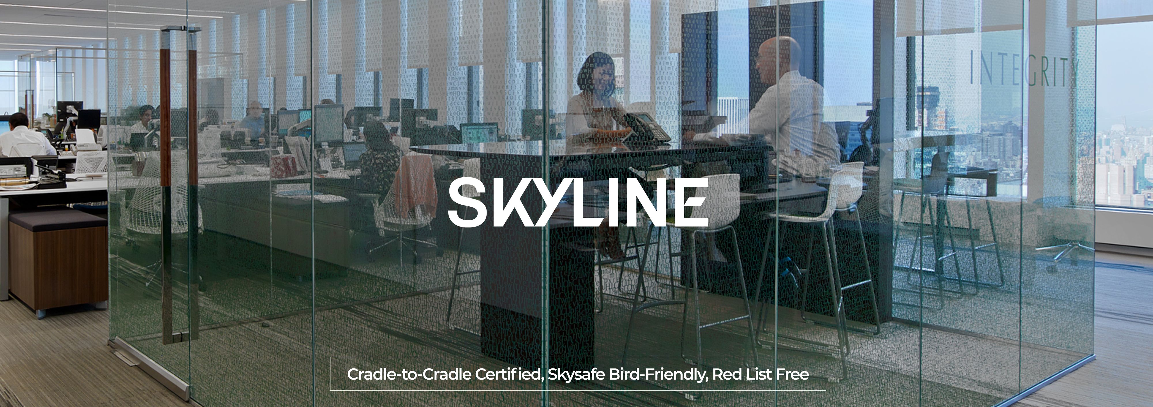 skyline banner.jpg