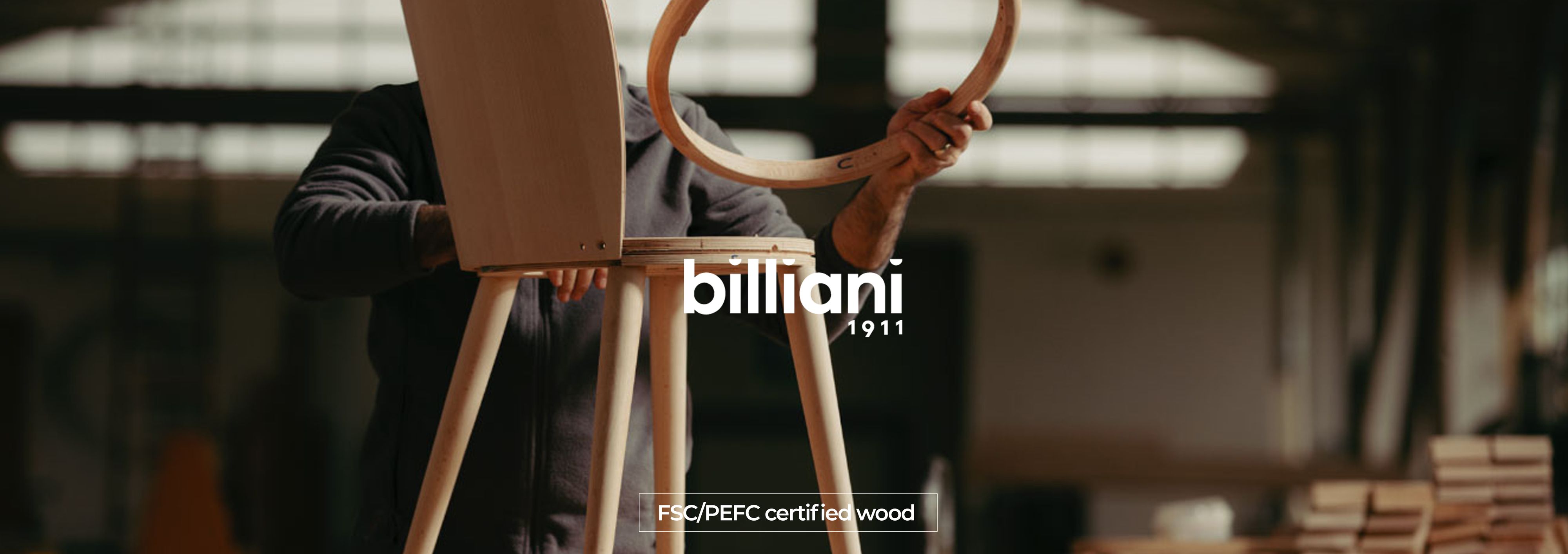 billianibanner.jpg