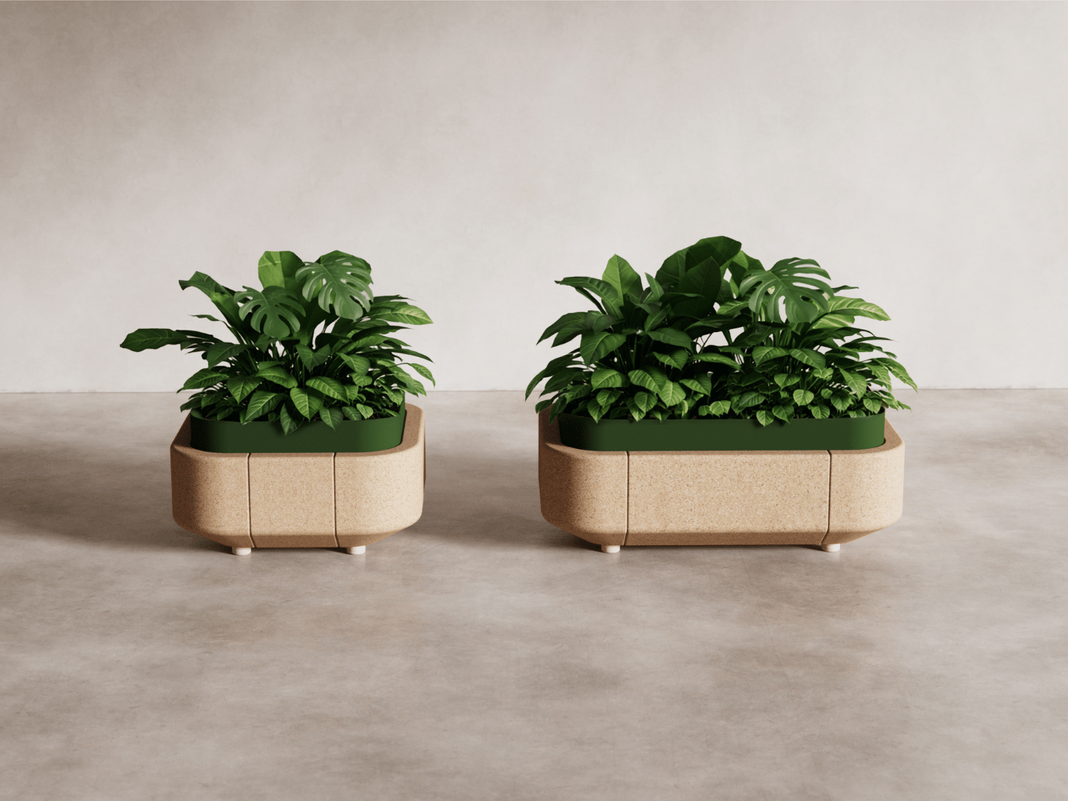 planters-tp4.png
