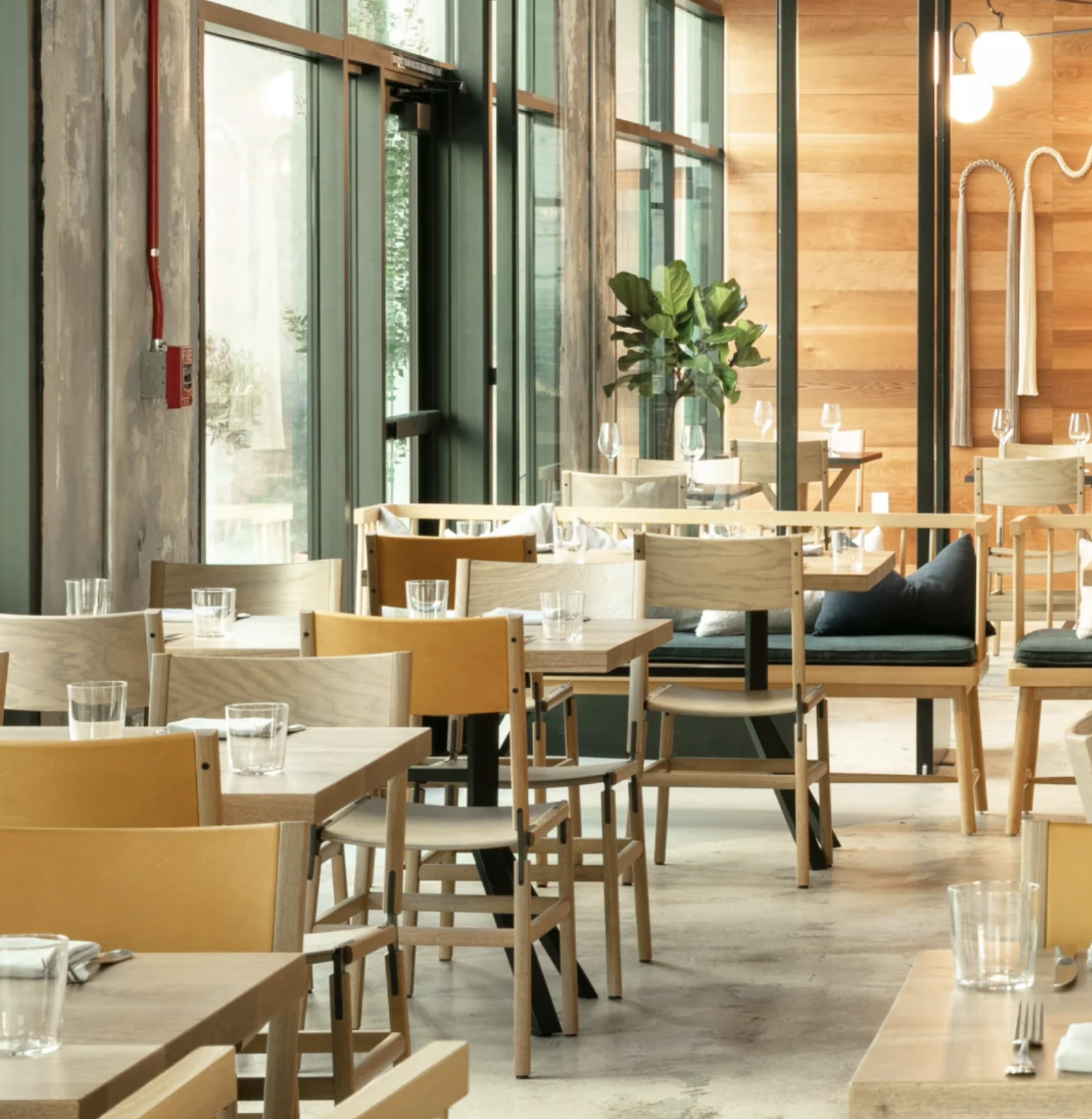 fyrn-restaurant-cropped.png
