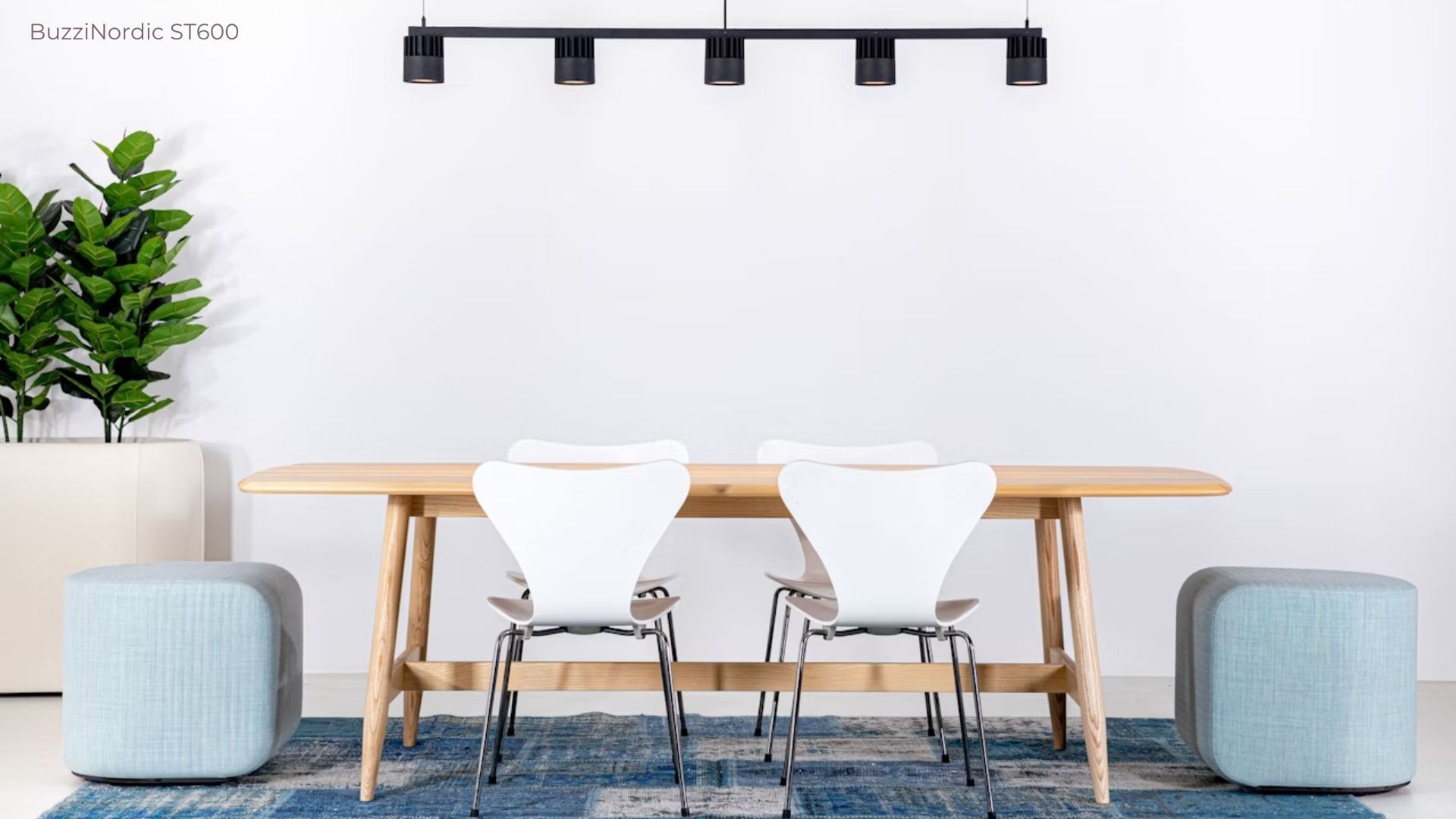 16BuzziSpace (8).jpg