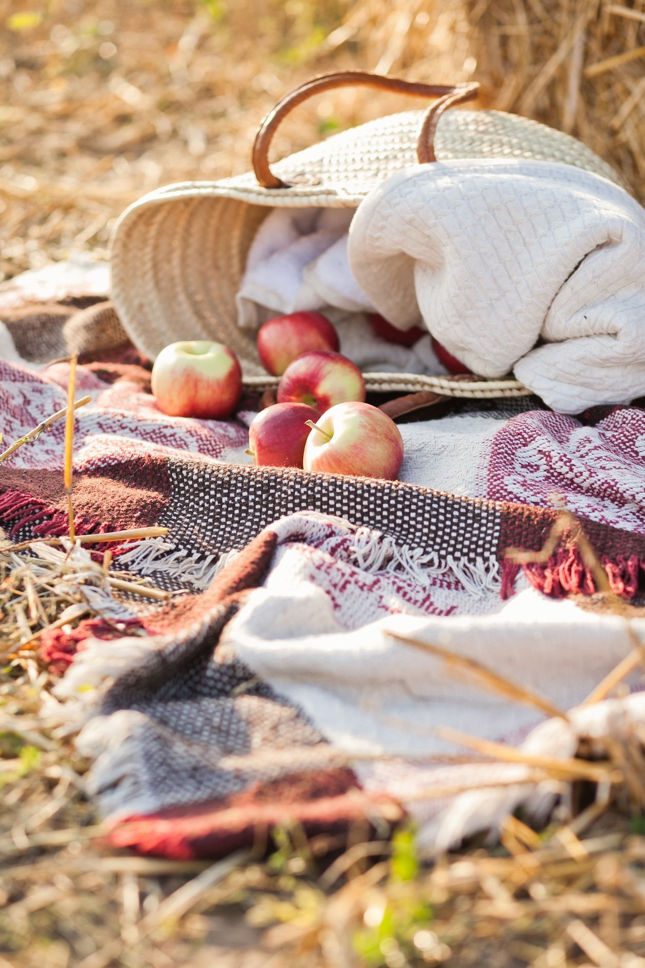 autumn-season-apples-on-the-blanket-with-haystack-2023-11-27-05-06-07-utc.jpg