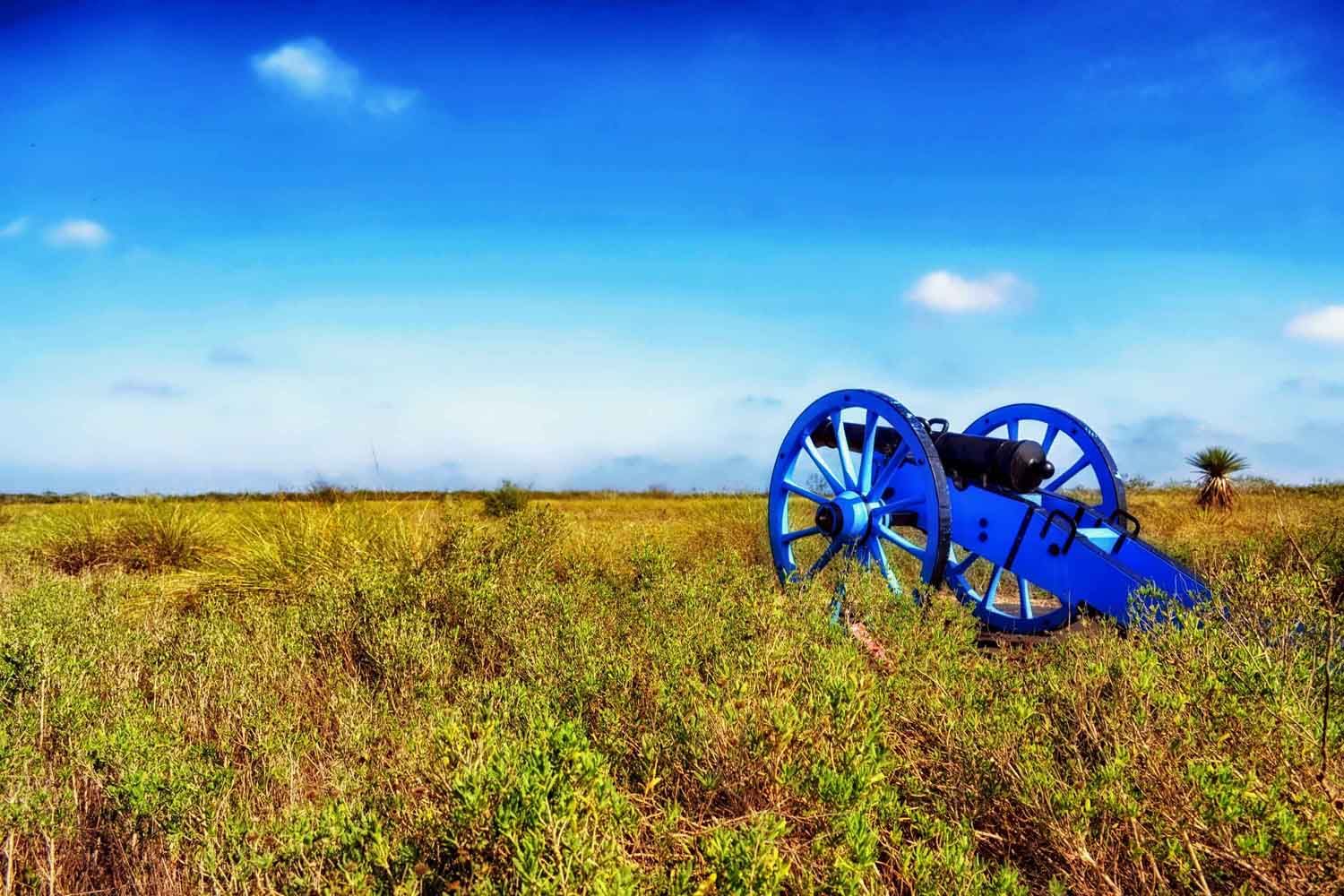 palo-alto-battlefield 2.jpg