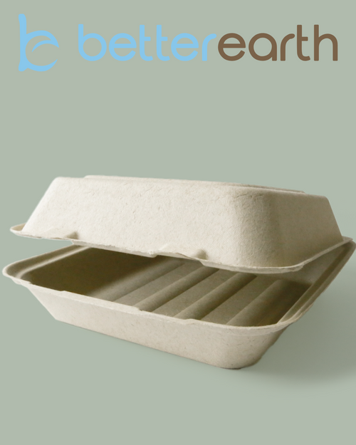 BetterEarth Blog Picture.png