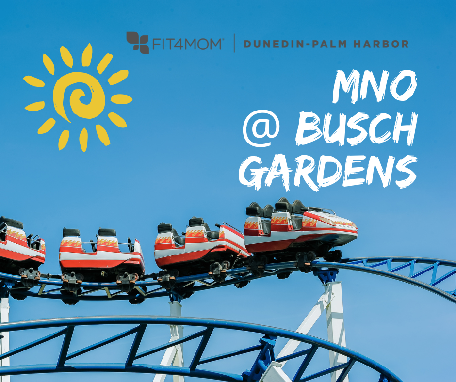 MNO @ Busch Gardens.png