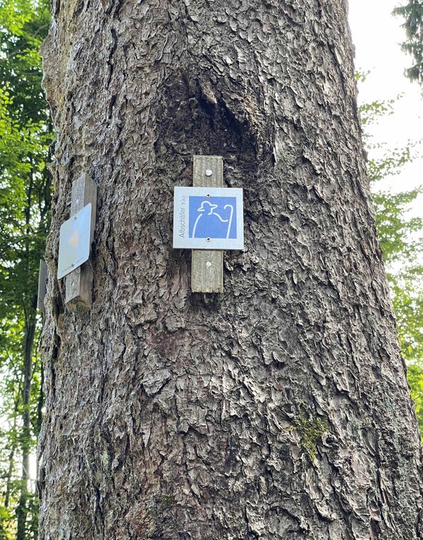 Beliebte Wanderwege in direkter Nähe