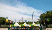 2018_0805_Lollapalooza-0006 copy.jpg