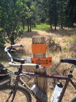 5_CoriHayden-IMG_0718_2.jpg