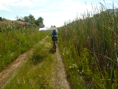 Lower Crab Creek, Columbia River Basin, John Wayne Pioneer Trail, former Milwaukee Railroad; Washington, 2014. © Cori Hayden 4 1/2 ft Drawing Ride 1 Lower Crab Creek.jpg