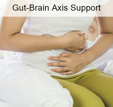 gut brain.png
