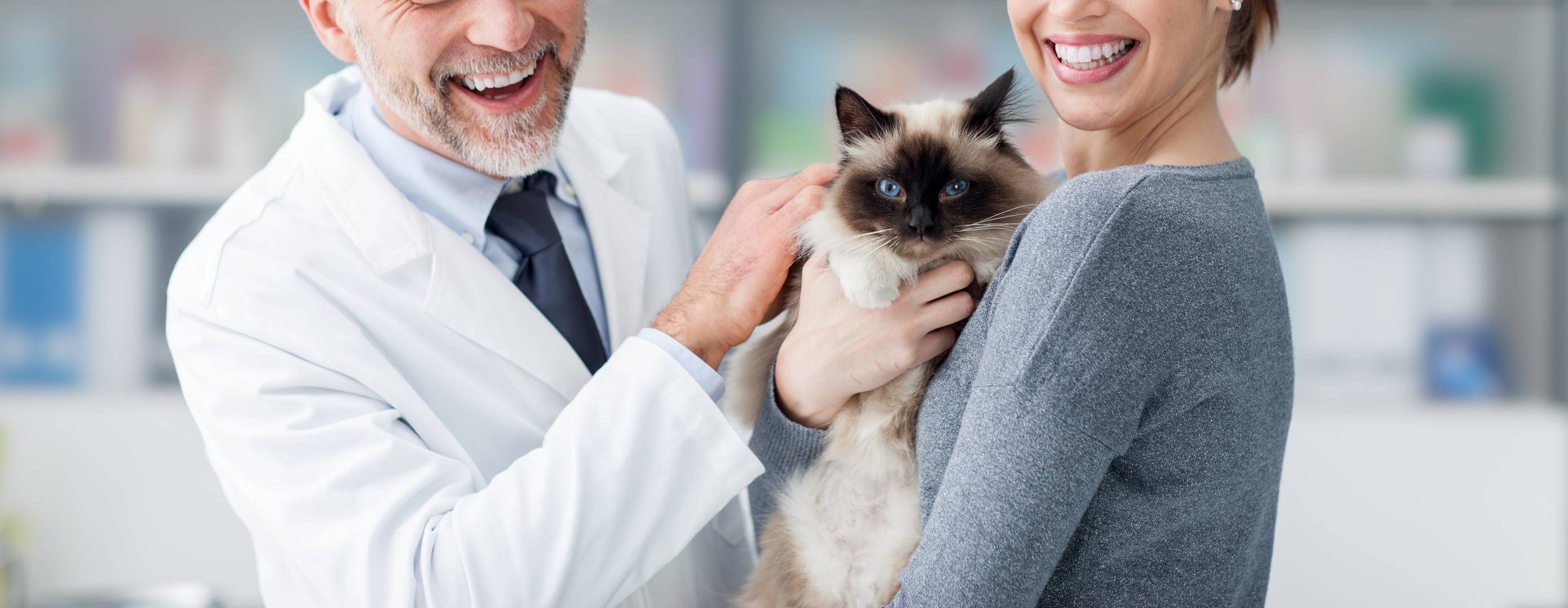 Pharmacist and a woman holding cat Pet Care