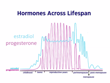 Hormones across Lifespan 4in.png
