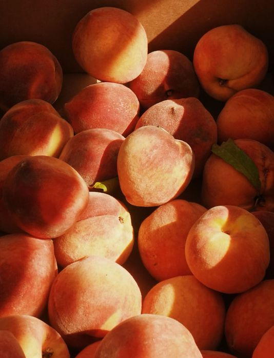 Fredericksburg Peaches