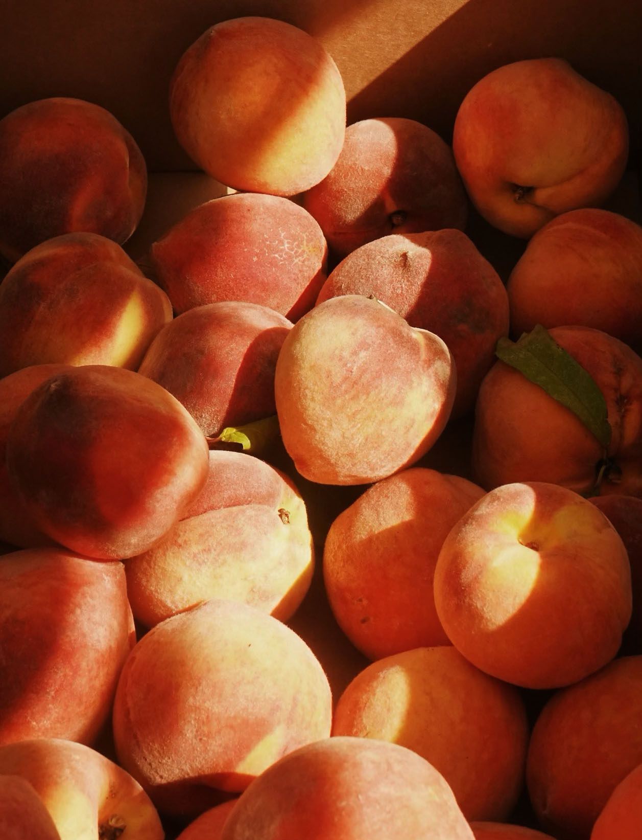 Peach Season Stays at Albert Hotel Fredericksburg Peaches