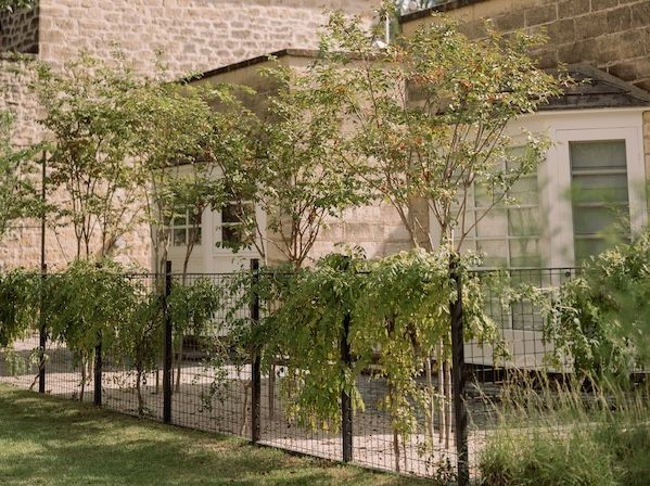 Hill Country in Bloom.jpg