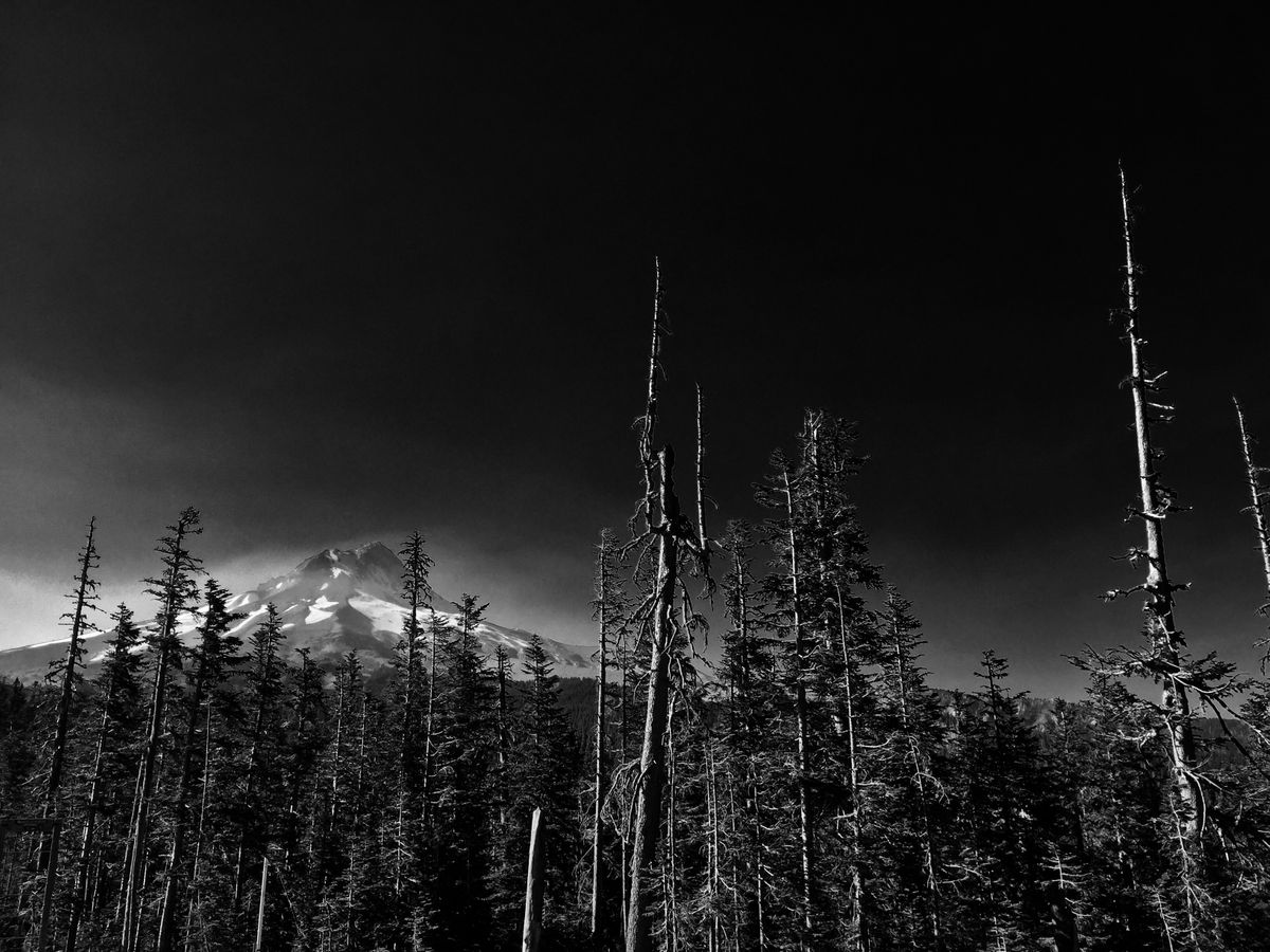 Mt. Hood b:w.jpg